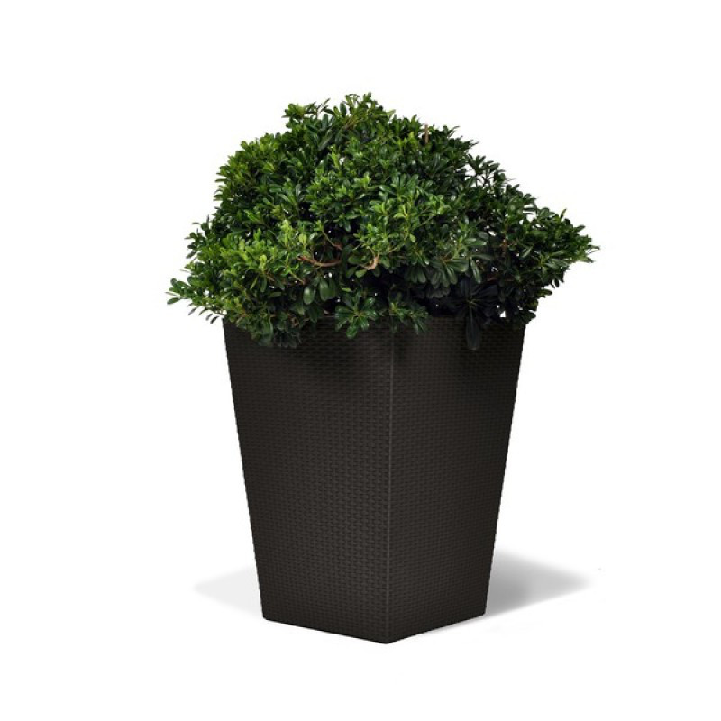 gorshok-dlia-tsvetov-keter-large-rattan-planter-145-l