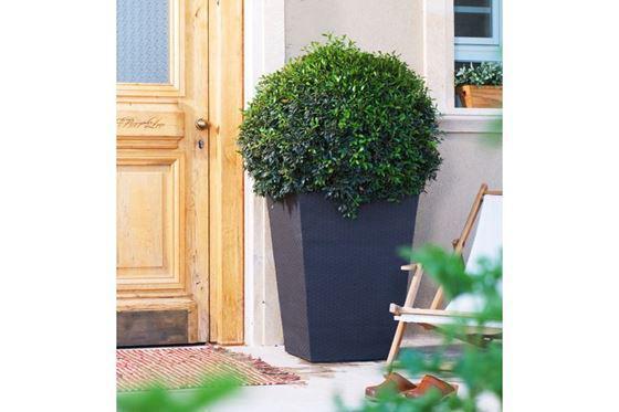 gorshok-dlia-tsvetov-keter-large-rattan-planter-145-l
