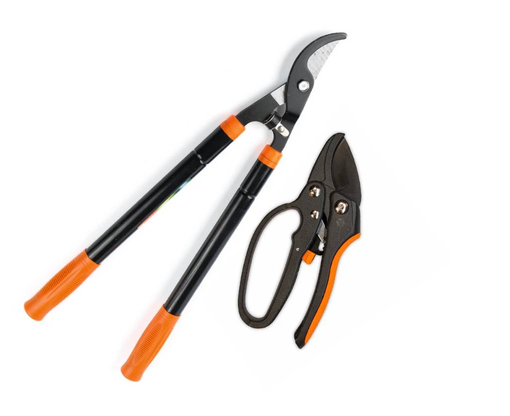 nabor-sadovykx-instrumentov-polax-suchkorez-teleskopicheskii-560-730-mm-i-sekator-s-kxrapovym-mekxanizmom-770-23