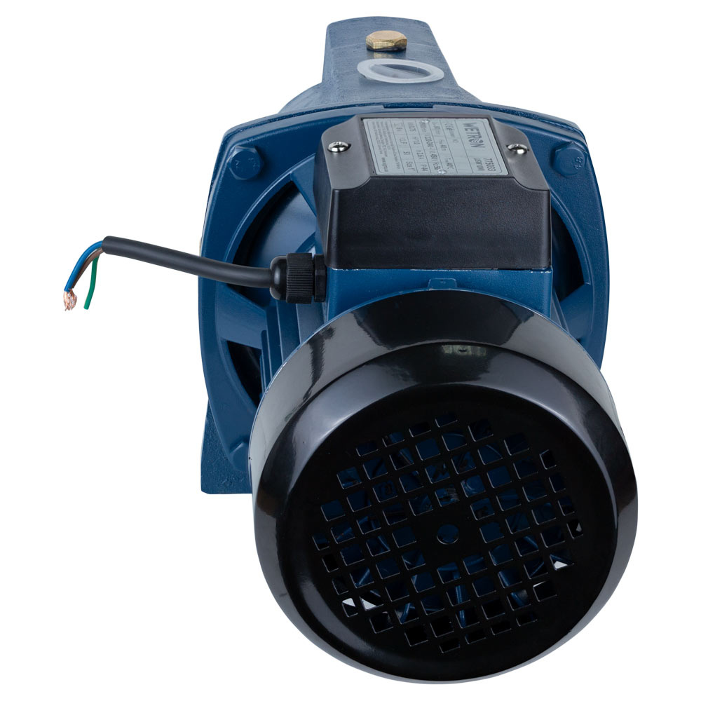 nasos-tsentrobezhnyi-samovsasyvaiushchii-0-75kvt-hmax-40m-qmax-80l-min-wetron-775033