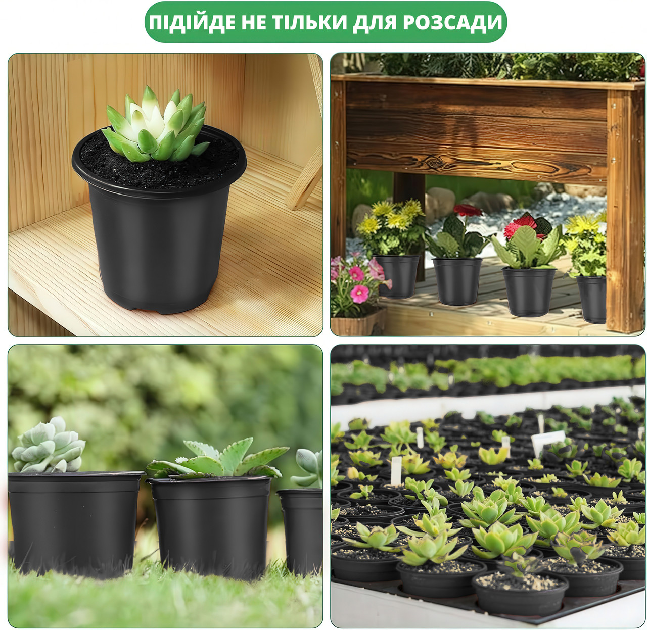 nabor-gorshkov-dlia-rassady-no-brand-360-ml-10-sht-chernyi-stkroz-blk-0713