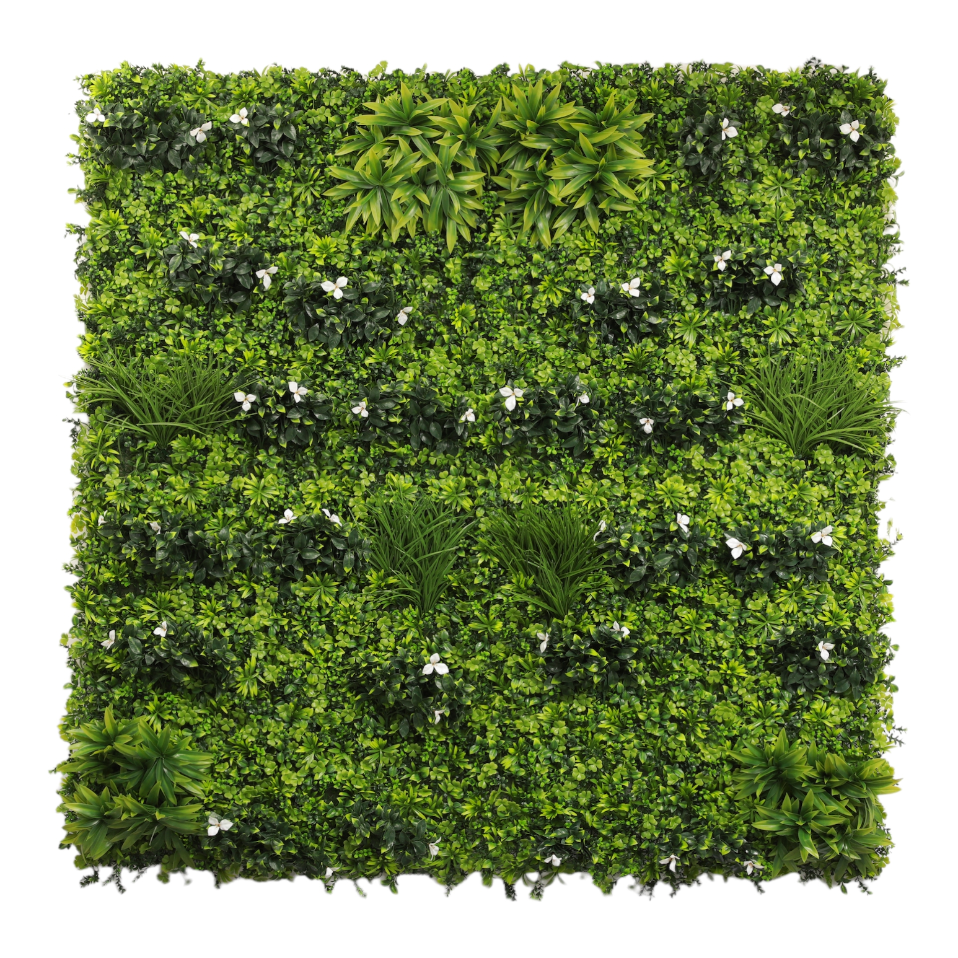 dekorativnoe-pokrytie-iz-iskusstvennoi-zeleni-kvitoniia-med1-100kx100-sm-mz189005a