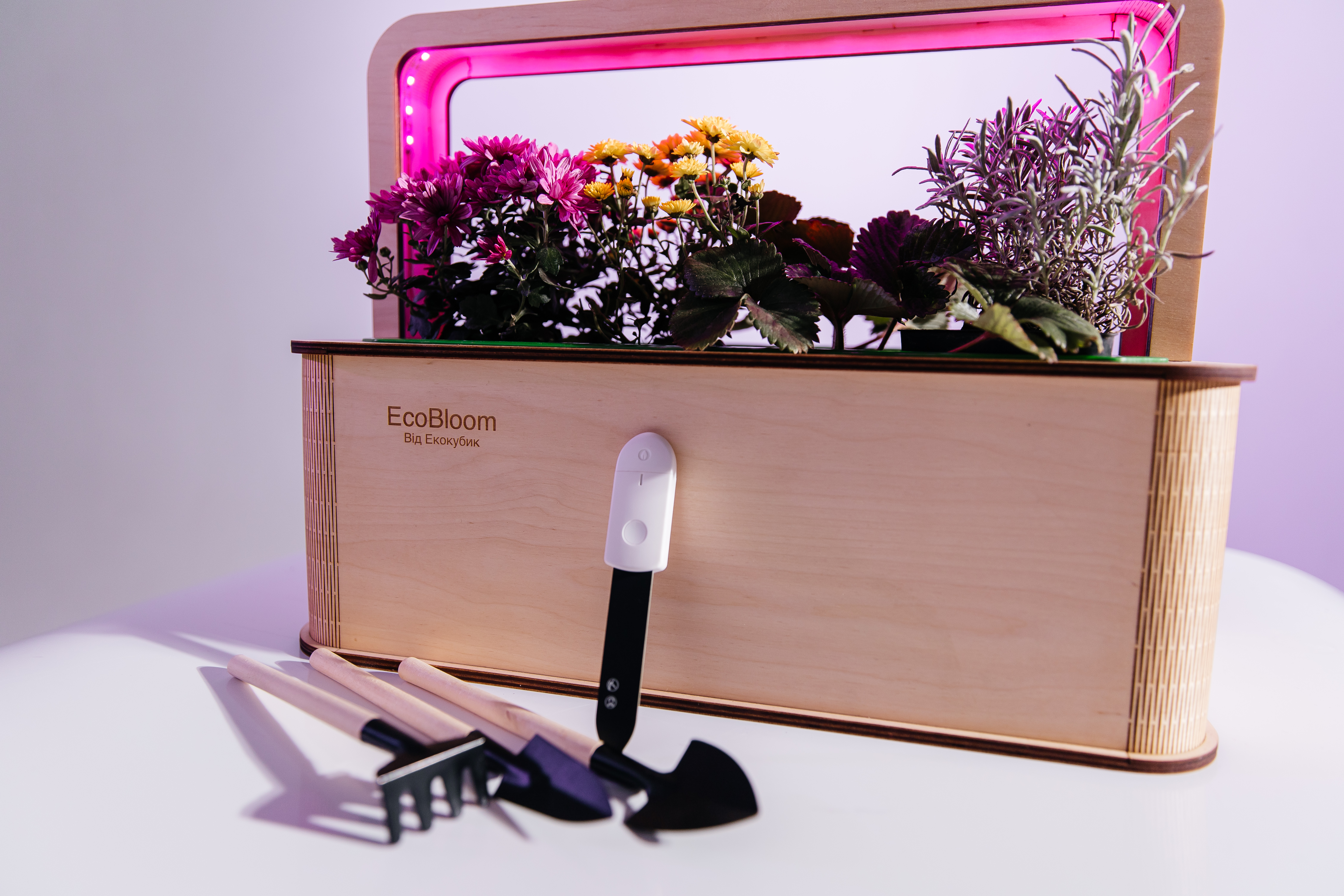 umnyi-gorshok-dlia-vyrashchivaniia-rastenii-smart-garden-ecobloom-mikrogrin-23kx43kx32-sm-ekokubik