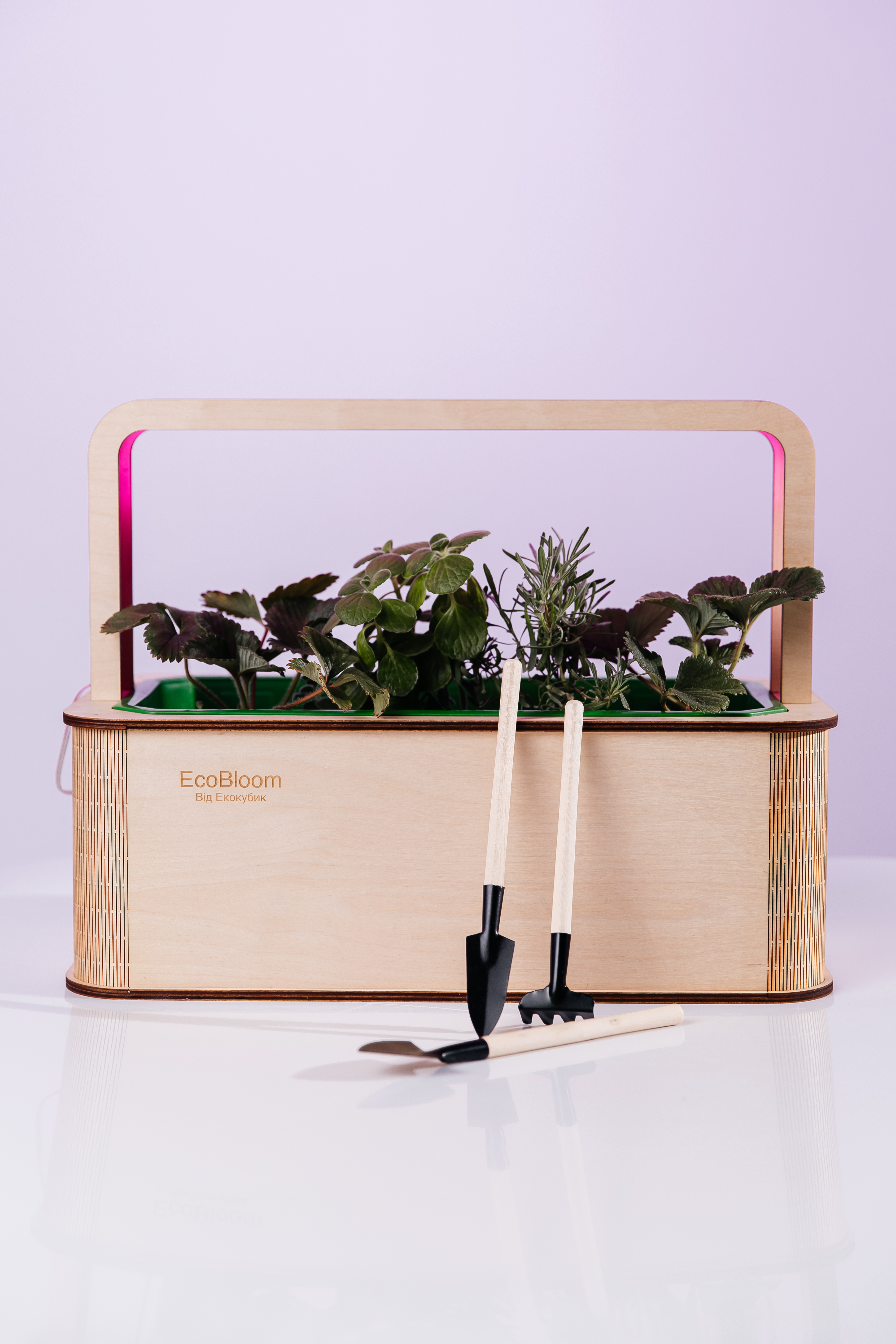 umnyi-gorshok-dlia-vyrashchivaniia-rastenii-smart-garden-ecobloom-sad-ogorod-23kx43kx32-sm-ekokubik