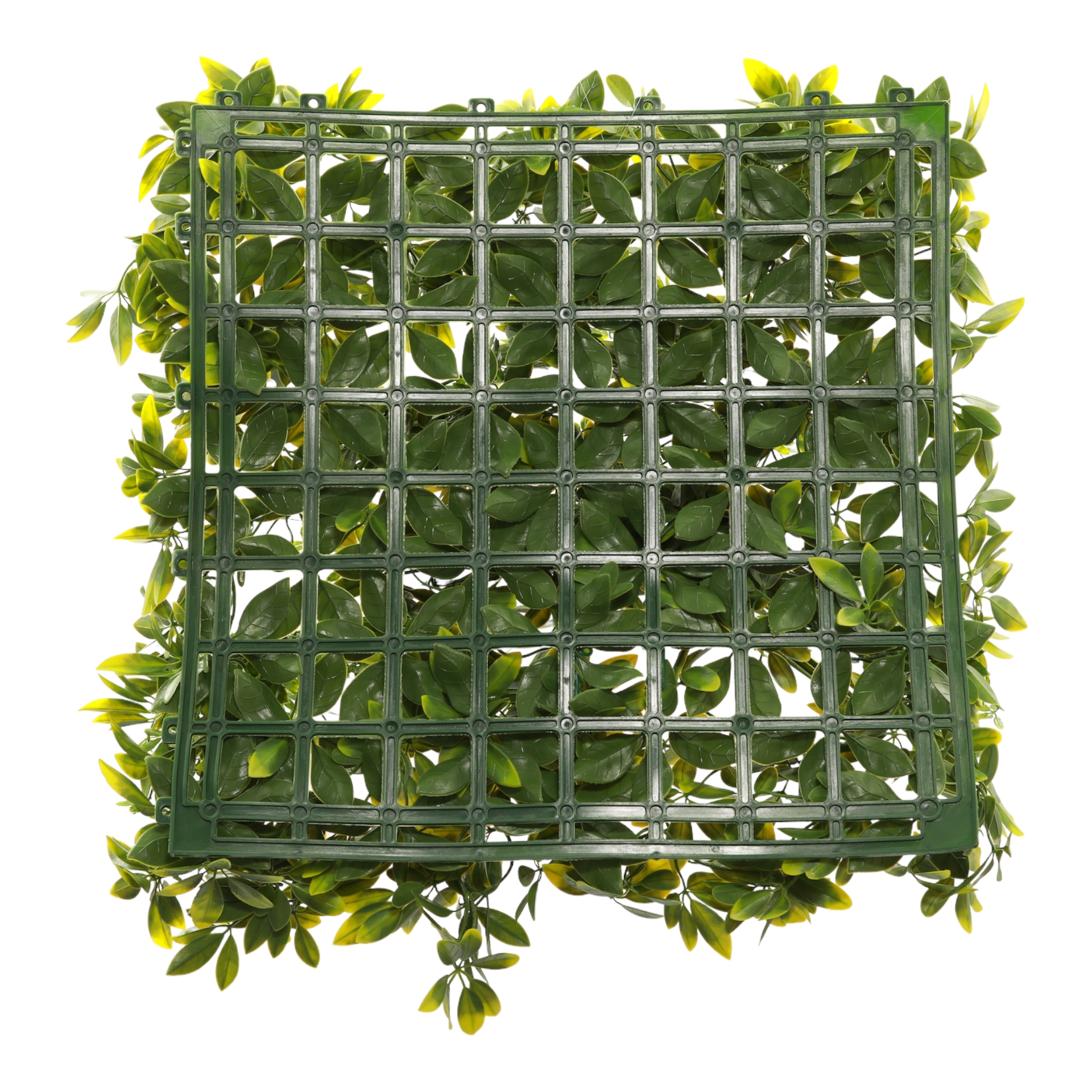 dekorativnoe-pokrytie-iz-iskusstvennoi-zeleni-kvitolis-med1-50kx50-sm-mz190003a