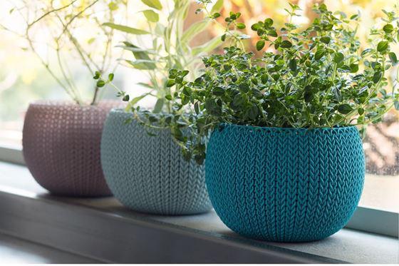 nabor-gorshkov-dlia-tsvetov-keter-3-sht-1-4l-cozies-herb-pot