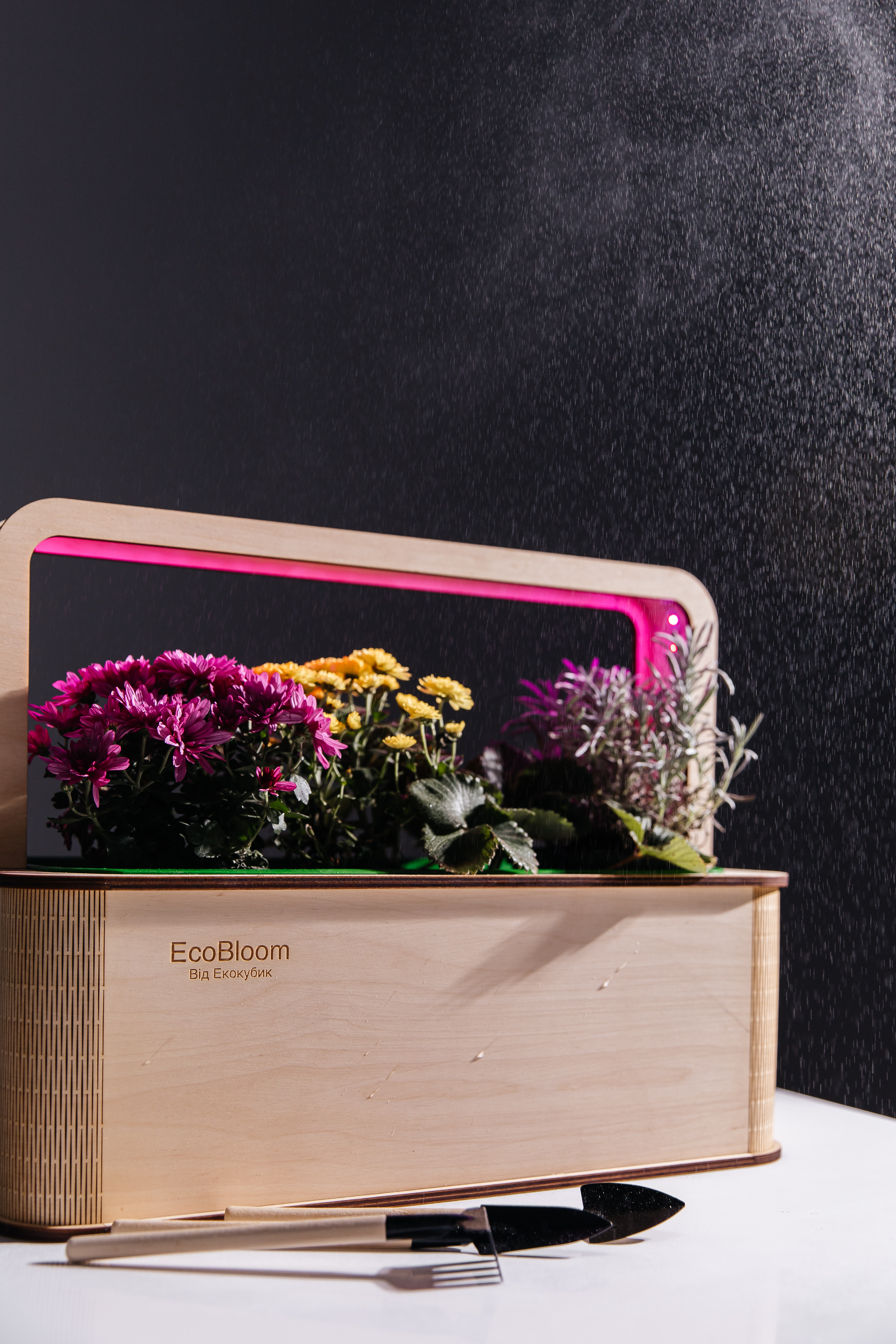 umnyi-gorshok-dlia-vyrashchivaniia-rastenii-smart-garden-ecobloom-tsvety-23kx43kx32-sm-ekokubik