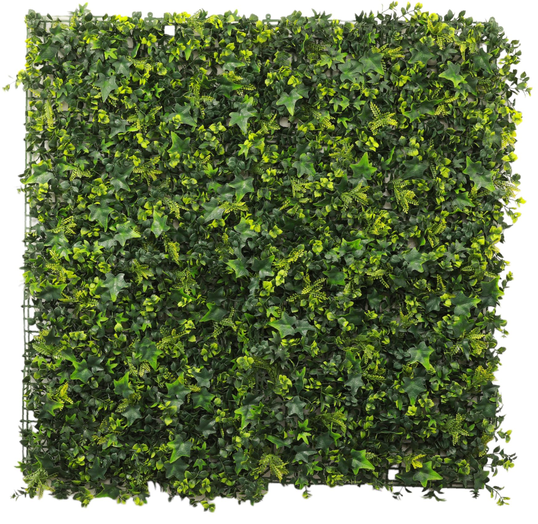 dekorativnoe-pokrytie-iz-iskusstvennoi-zeleni-kvitomir-med1-50kx50-sm-mz188026a