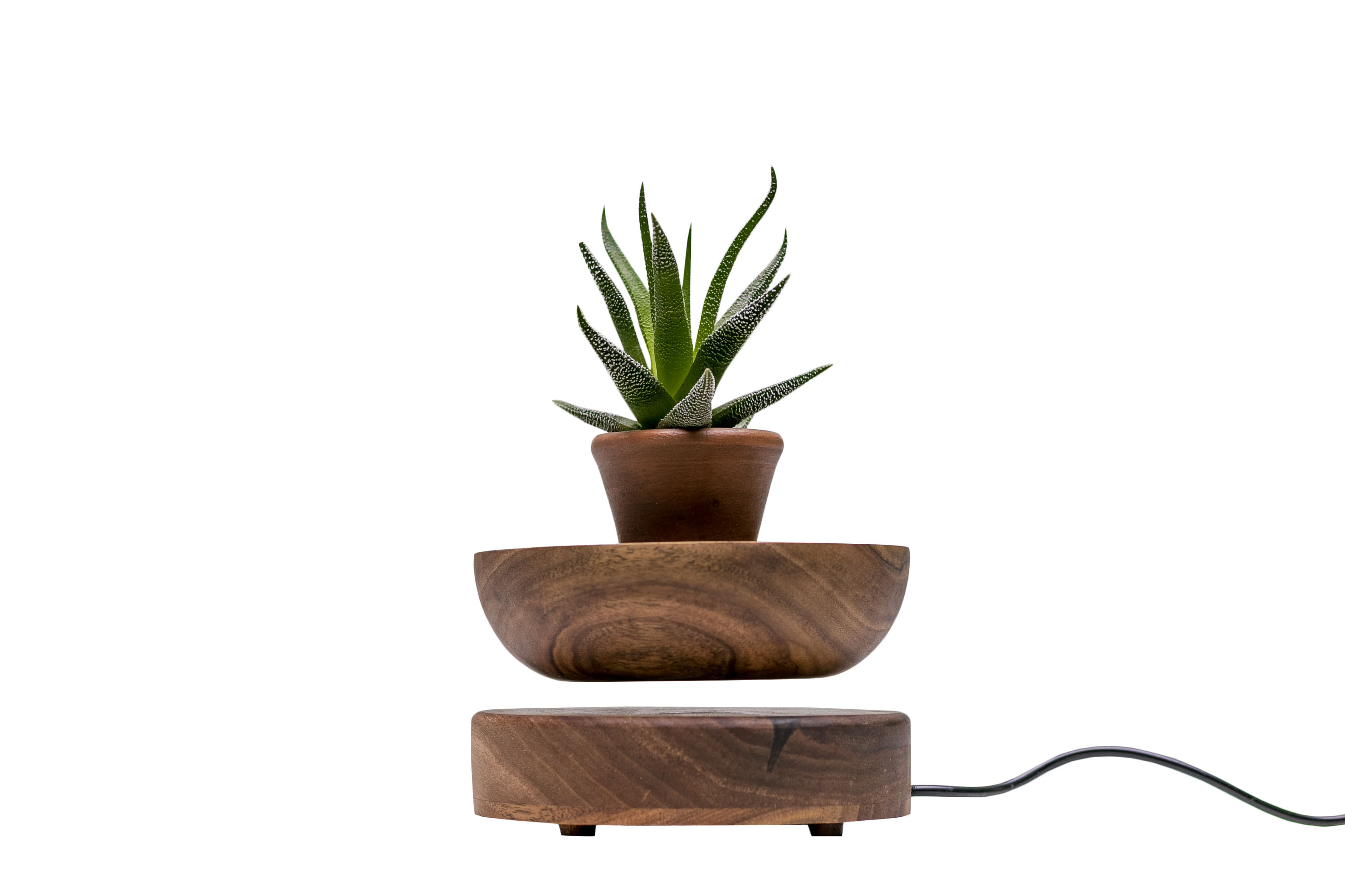dekorativnyi-dereviannyi-vazon-s-pialoi-ecowalnut