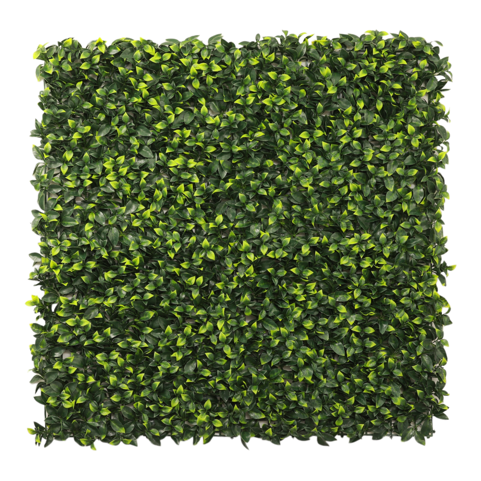 dekorativnoe-pokrytie-iz-iskusstvennoi-zeleni-lianariia-med1-50kx50-sm-mz188024c